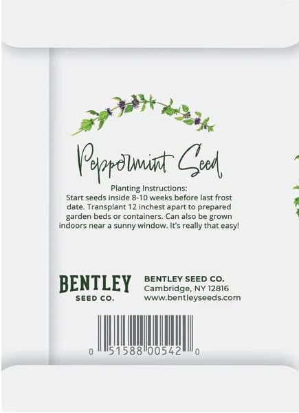 Simply Mint to Be 25 Peppermint Packets for Planting Herb Seeds Beautiful Valentines Gift Bentley Seed Co