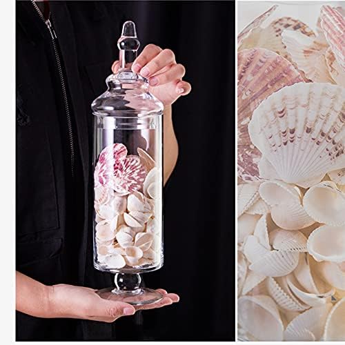 Glass Apothecary Jars Clear Elegant Decorative Buffet Jars Wedding Candy Organizer Storage Canisters Small Home Decor 2 Pcs