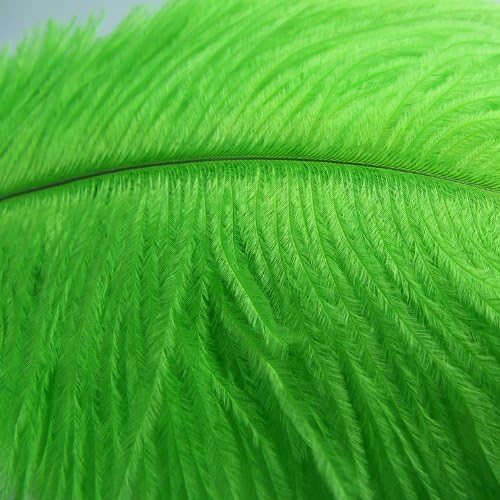 KOLIGHT® 40pcs 12''~14''(30~35cm) Natural Ostrich Feathers for DIY Home Wedding Party Office Decoration (Green)