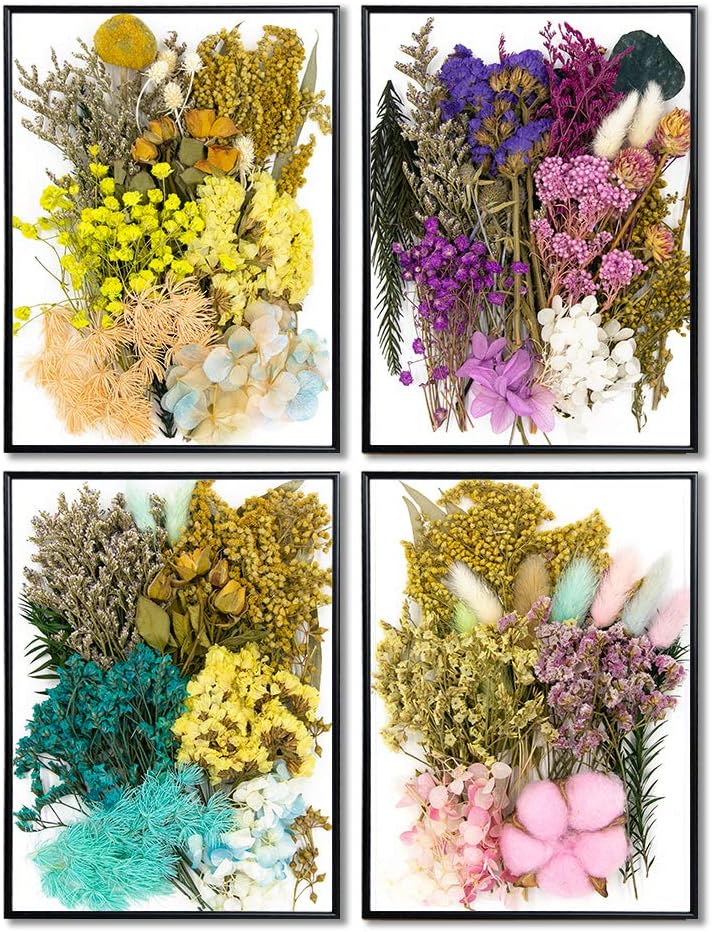 Vignee Real Dried Pressed Leaf Flowers-Multiple Colorful Pressed Flowers Daisies for Craft Resin Jewelry Making Art Craft DIY(Violet)