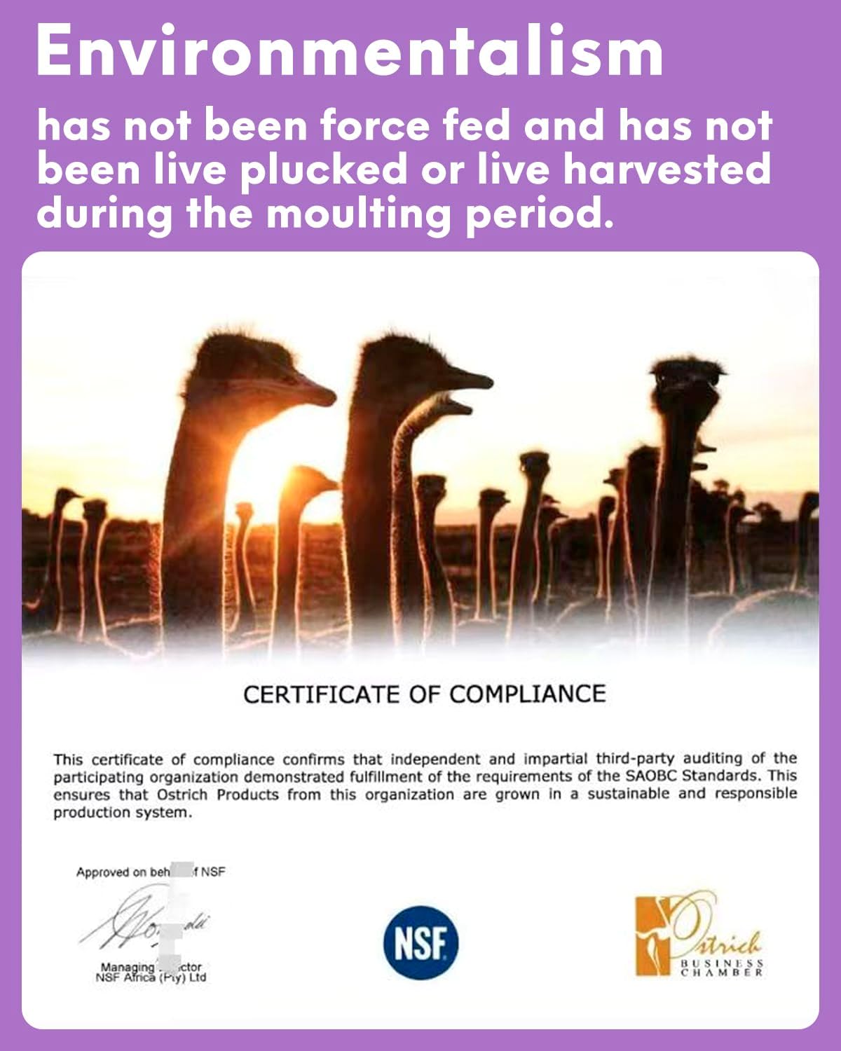 NEWONG 30pcs Light Purple Ostrich Feathers Natural Bulk 9-12in(23-30cm) Vase Craft Wedding Home Party Centerpieces Christmas Day Decoration