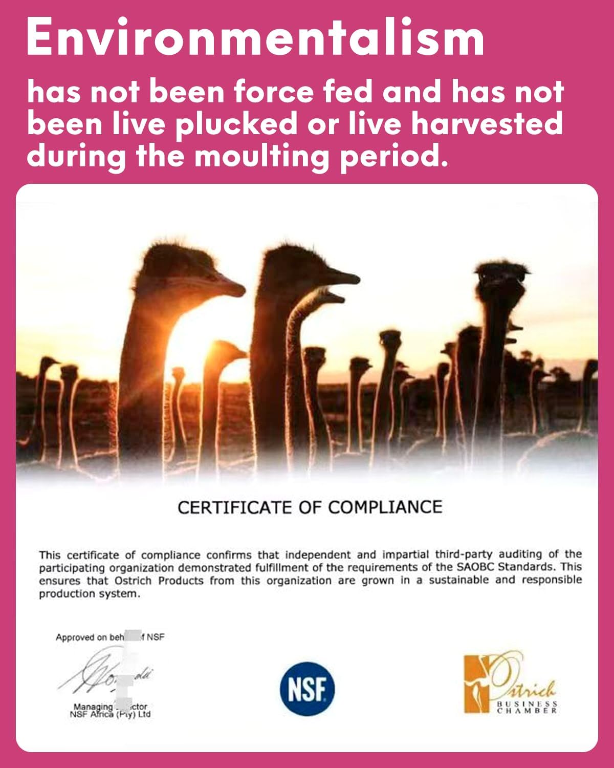 NEWONG 30pcs Gold Ostrich Feathers Natural Bulk 8-10inch(20-25cm) Vase Craft Wedding Home Party Centerpieces Christmas Day Decoration