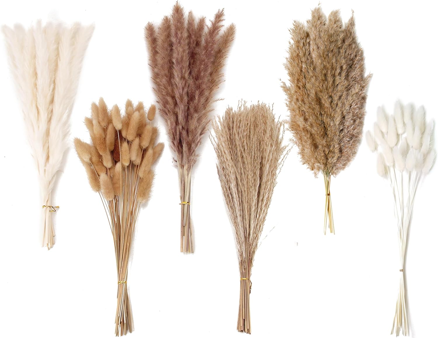 Dried & Preserved Flora