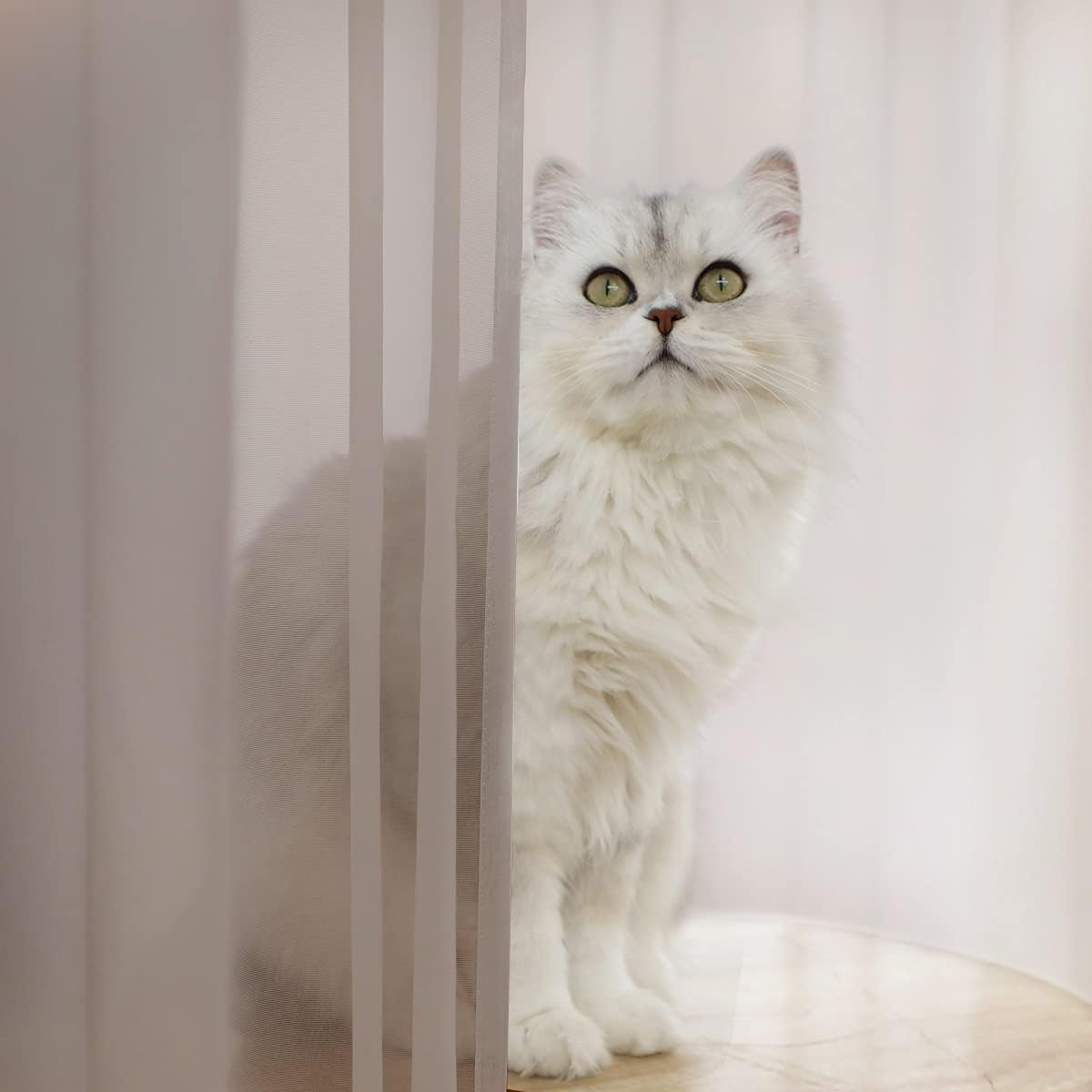 Window Light Grey Sheer Curtains 48 Inches Width 45 Inches Long 2 Panels Sheer Curtain Clear Curtains Basic Rod Pocket Panel for Home Living Room Bedroom Kids Room Yard Patio Parlor Sliding