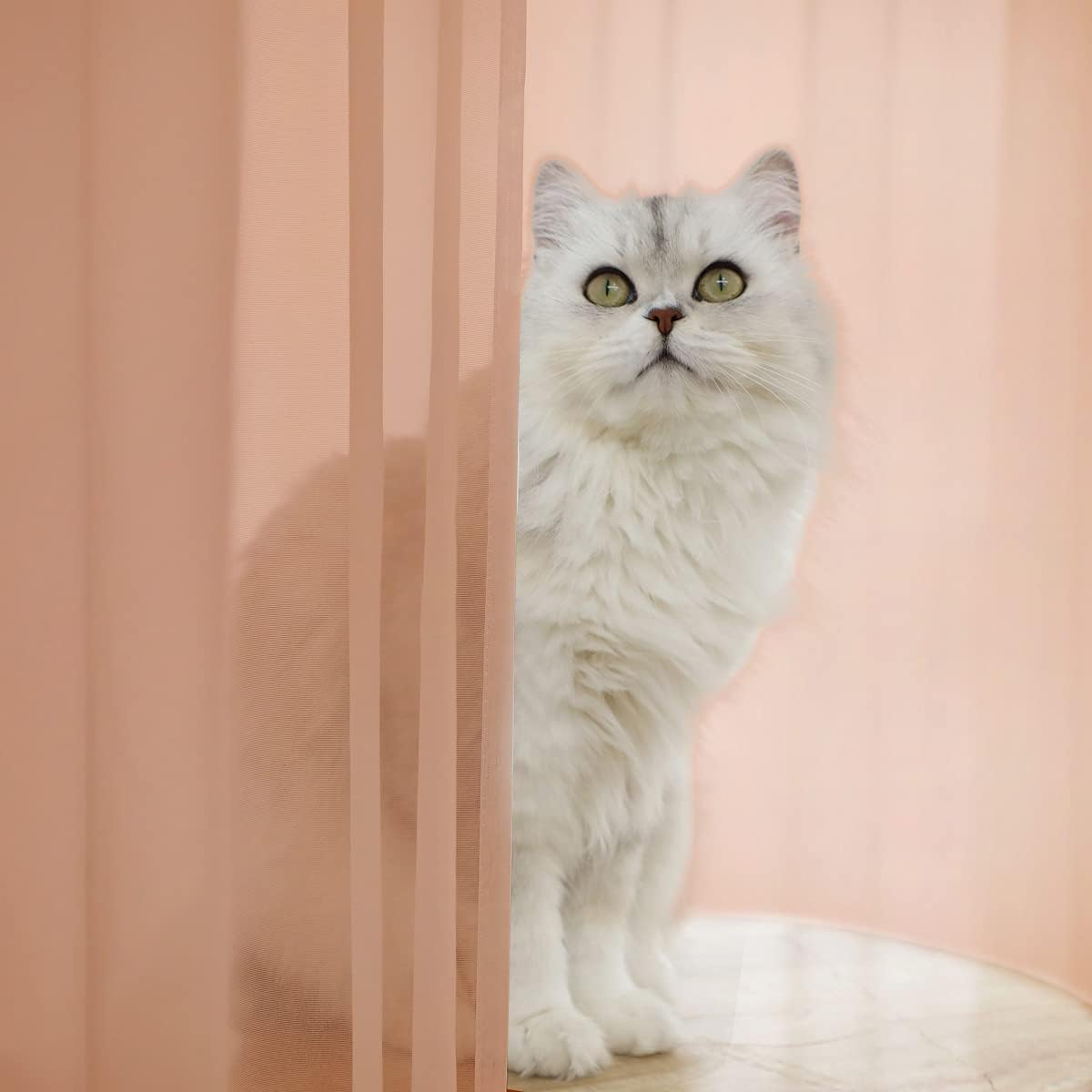 Window Brown Sheer Curtains 48 Inches Width 84 Inches Long 2 Panels Sheer Curtain Clear Curtains Basic Rod Pocket Panel for Home Living Room Bedroom Kids Room Yard Patio Parlor Sliding