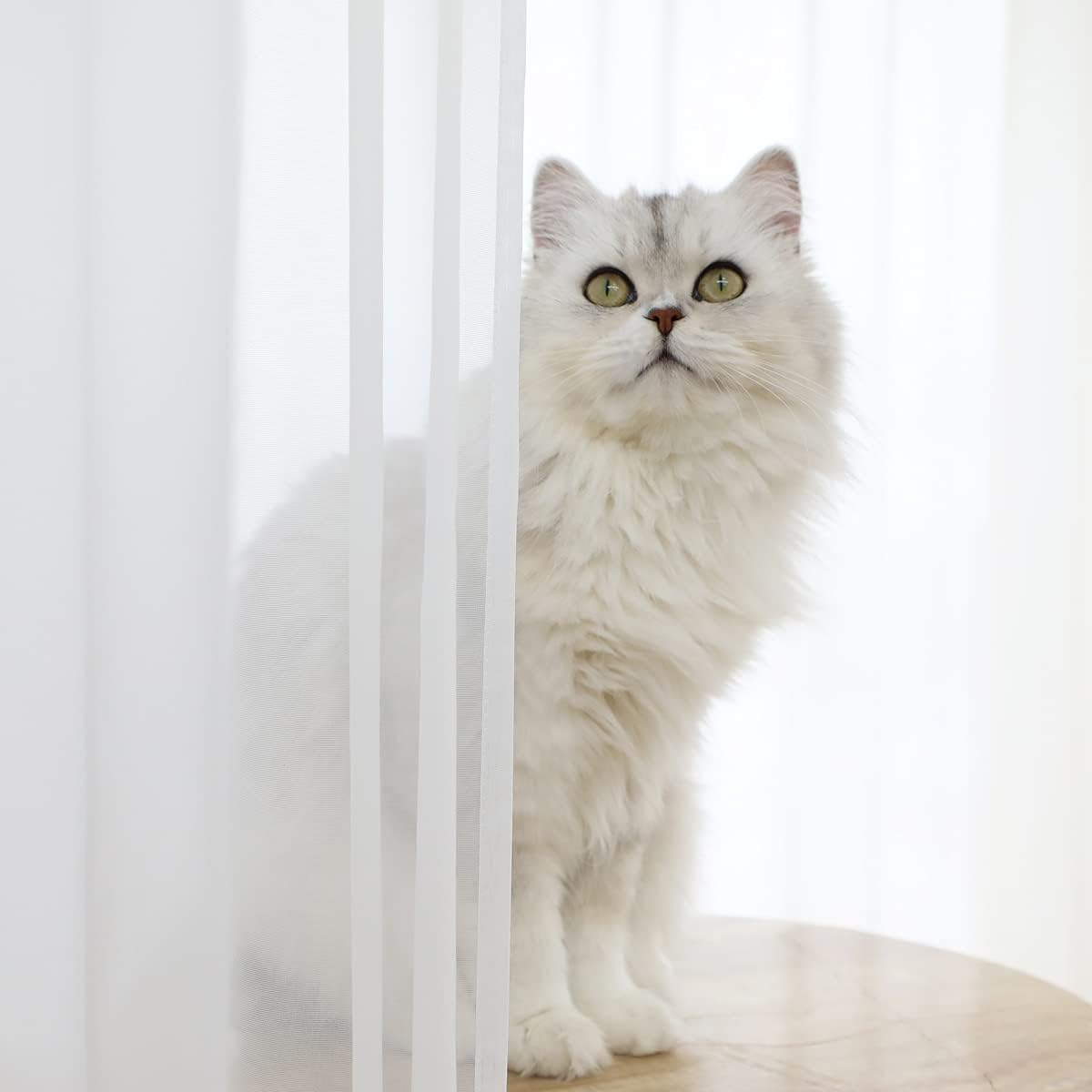 Window White Sheer Curtains 48 Inches Width 90 Inches Long 2 Panels Sheer Curtains Clear Curtains Basic Rod Pocket Panel for Home/Living Room/Bedroom/Kids Room