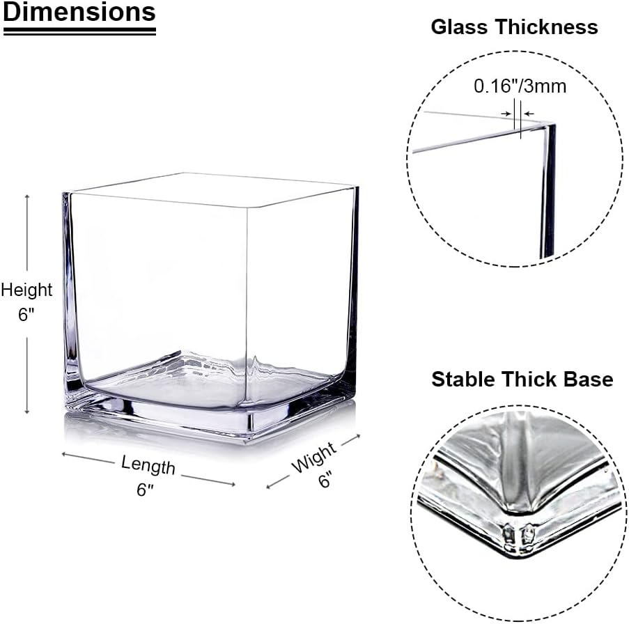 Enova Floral Cube Glass Vase - 6 x 6 Inch Square Vases with Floating Candle Holders, Perfect for Wedding Centerpieces and Home Office Decor - Set of 1