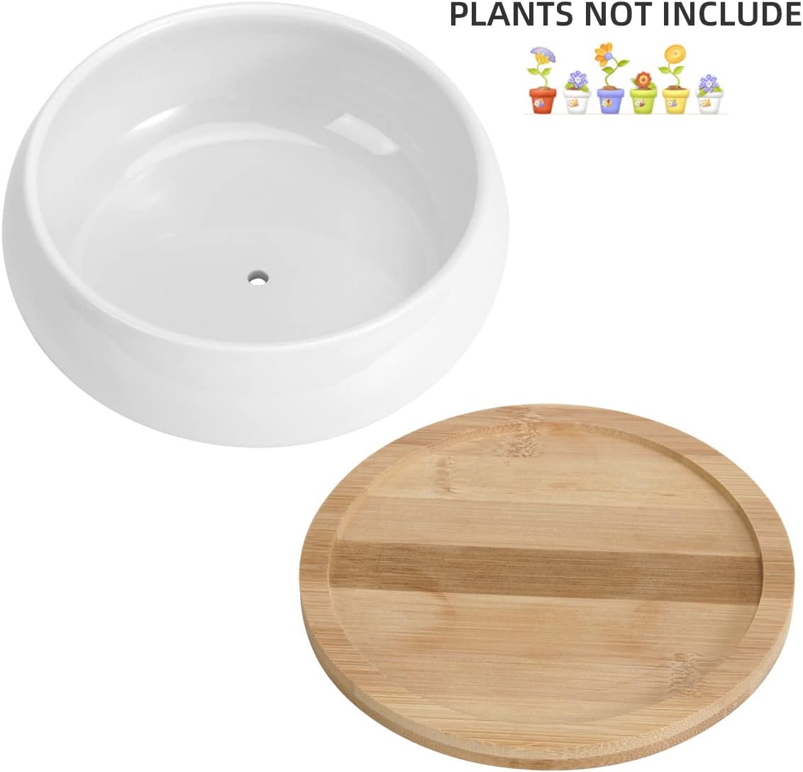 ZOUTOG 2 Pack Succulent Pots, 6 inch Ceramic Planters for Indoor Plants with Bamboo Tray, Pots with Drainage, Seeds＆ Plants Not Included