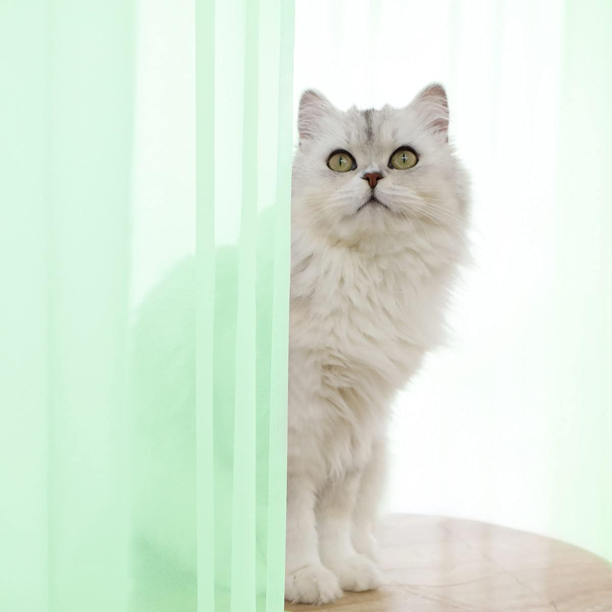 Window Light Green Sheer Curtains 63 Inches Long 2 Panels Sheer Curtain Basic Rod Pocket Panel for Bedroom Children Living Room Yard Kitchen