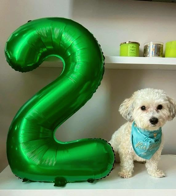 40 Inch Big Green Number 20 Balloon Birthday Decoration, Number 20 Helium Balloon Celebration, Boy Girl Baby Anniversary Party Graduations Supplies Decorations