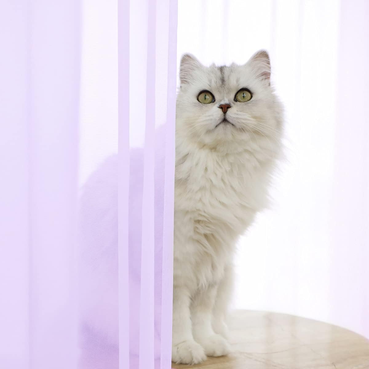 Window Purple Sheer Curtains 48 Inches Width 45 Inches Long 2 Panels Sheer Curtain Clear Curtains Basic Rod Pocket Panel for Home Living Room Bedroom Kids Room Yard Patio Parlor Sliding