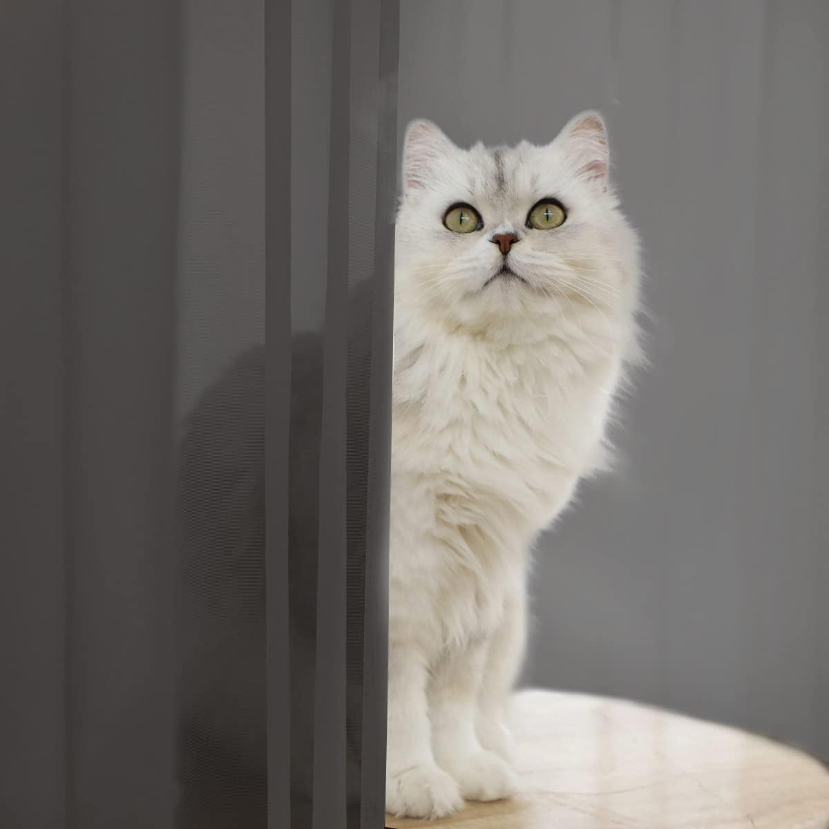 Window Dark Gray Sheer Curtains 145 Inches Long 2 Panels Sheer Curtain Basic Rod Pocket Panel for Bedroom Children Living Room Yard Kitchen (Dark Gray, 52" W x 145" L | 2 pcs)