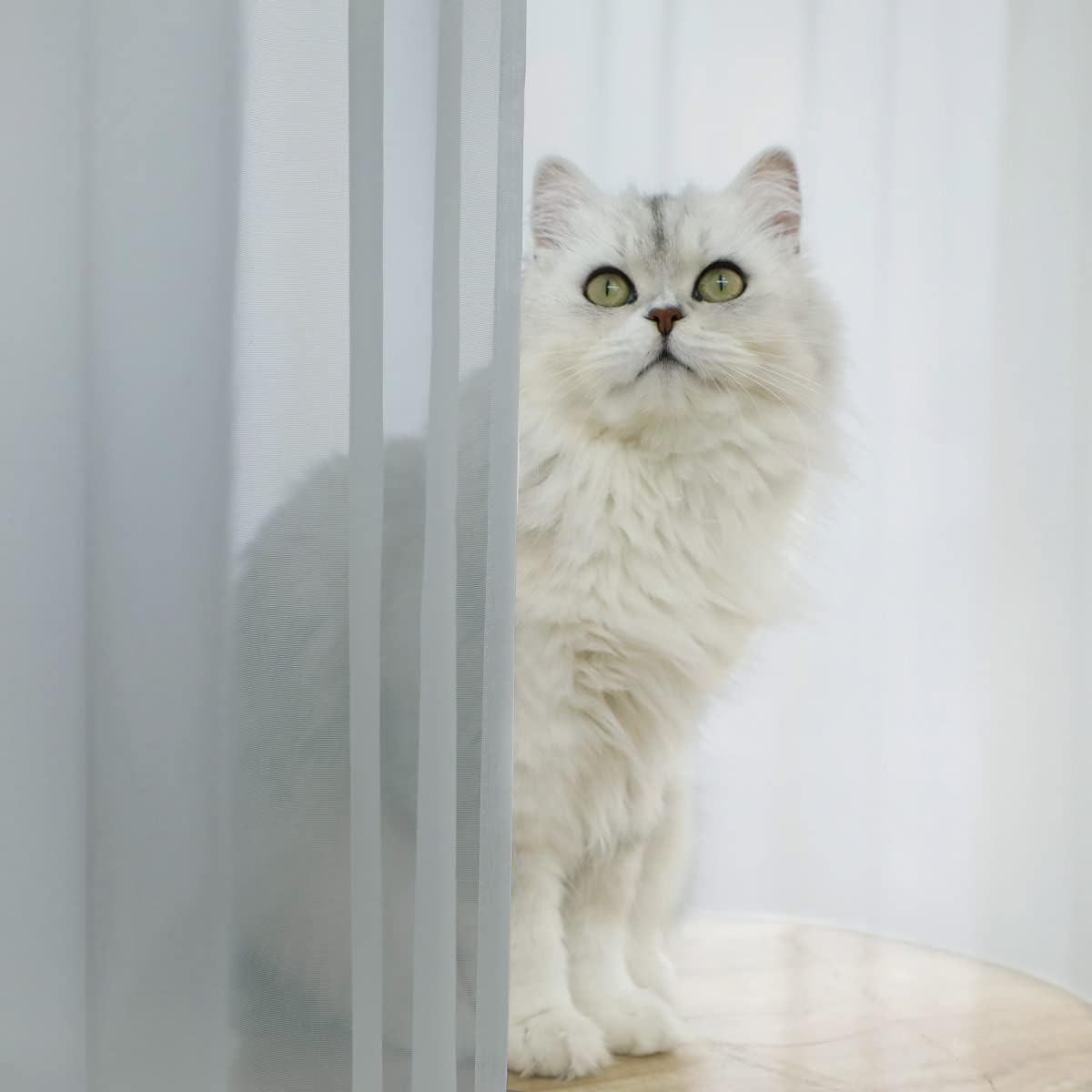 Window Light Gray Sheer Curtains 130 Inches Long 2 Panels Sheer Curtain Basic Rod Pocket Panel for Bedroom Children Living Room Yard Kitchen (Light Gray, 52" W x 130" L | 2 pcs)