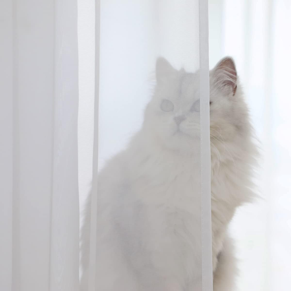 Window Ivory Sheer Curtains 108 Inches Long 2 Panels Sheer Curtain Basic Rod Pocket Panel for Bedroom Children Living Room Yard Kitchen (Ivory, 52" W x 108" L | 2 pcs)