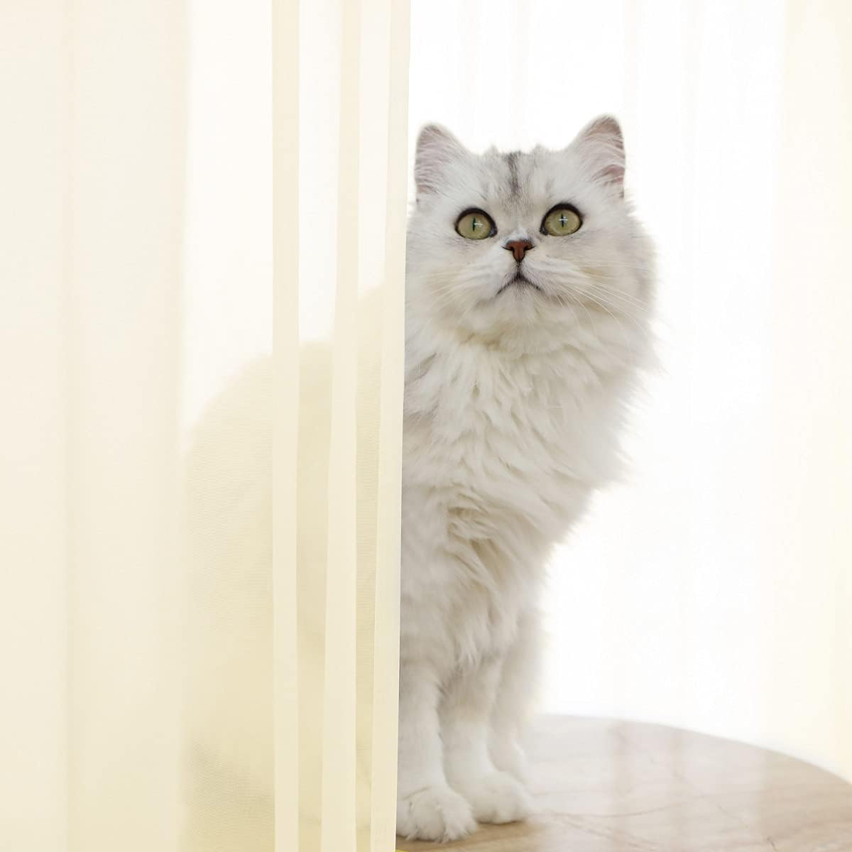 Window Light Yellow Sheer Curtains 60 Inches Width 63 Inches Long 2 Panels Sheer Curtain Clear Curtains Basic Rod Pocket Panel for Home Living Room Bedroom Kids Room Yard Patio Parlor Sliding