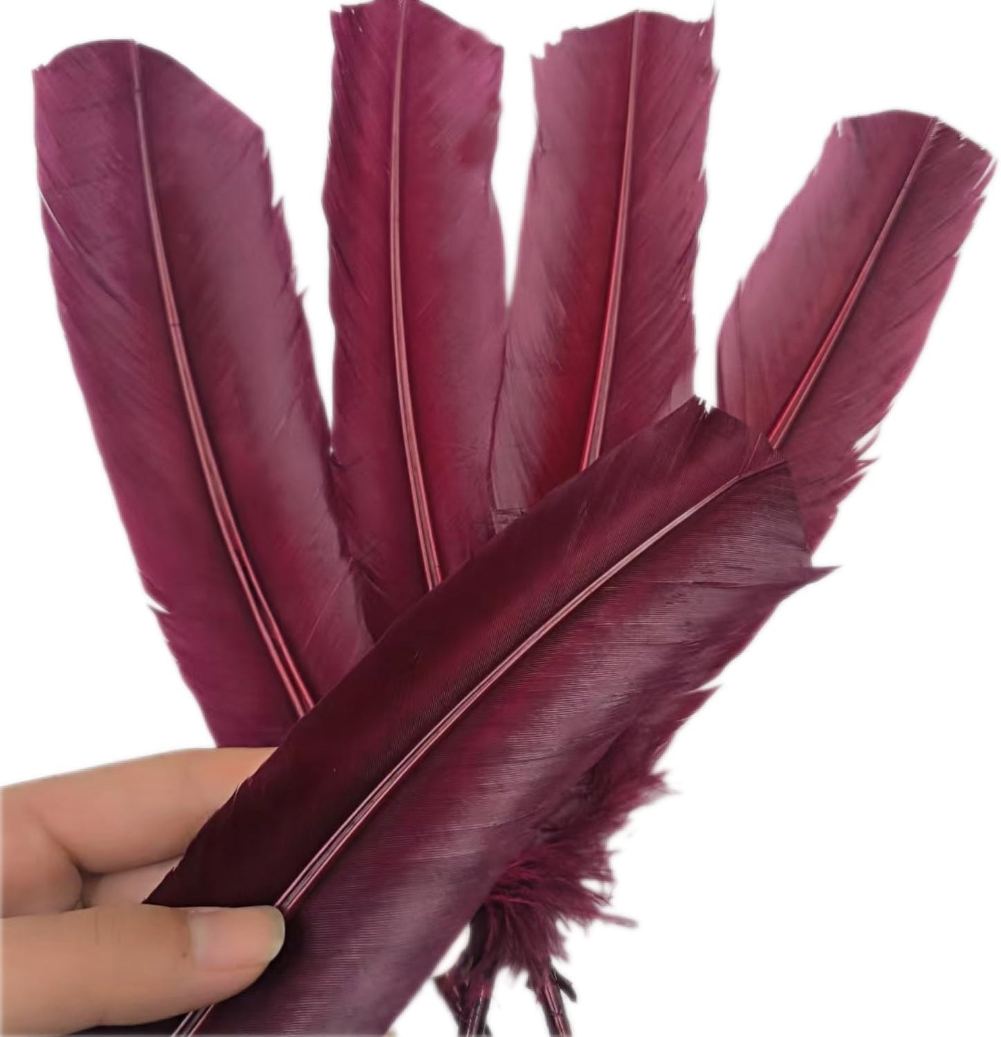 Burgundy Turkey Feathers,22 Pcs Natural Feathers Bulk Long 10-12 inch (25-30cm),Turkish Feather for Crafts DIY Wedding Home Party Mardi Gras Decorations (Burgundy)