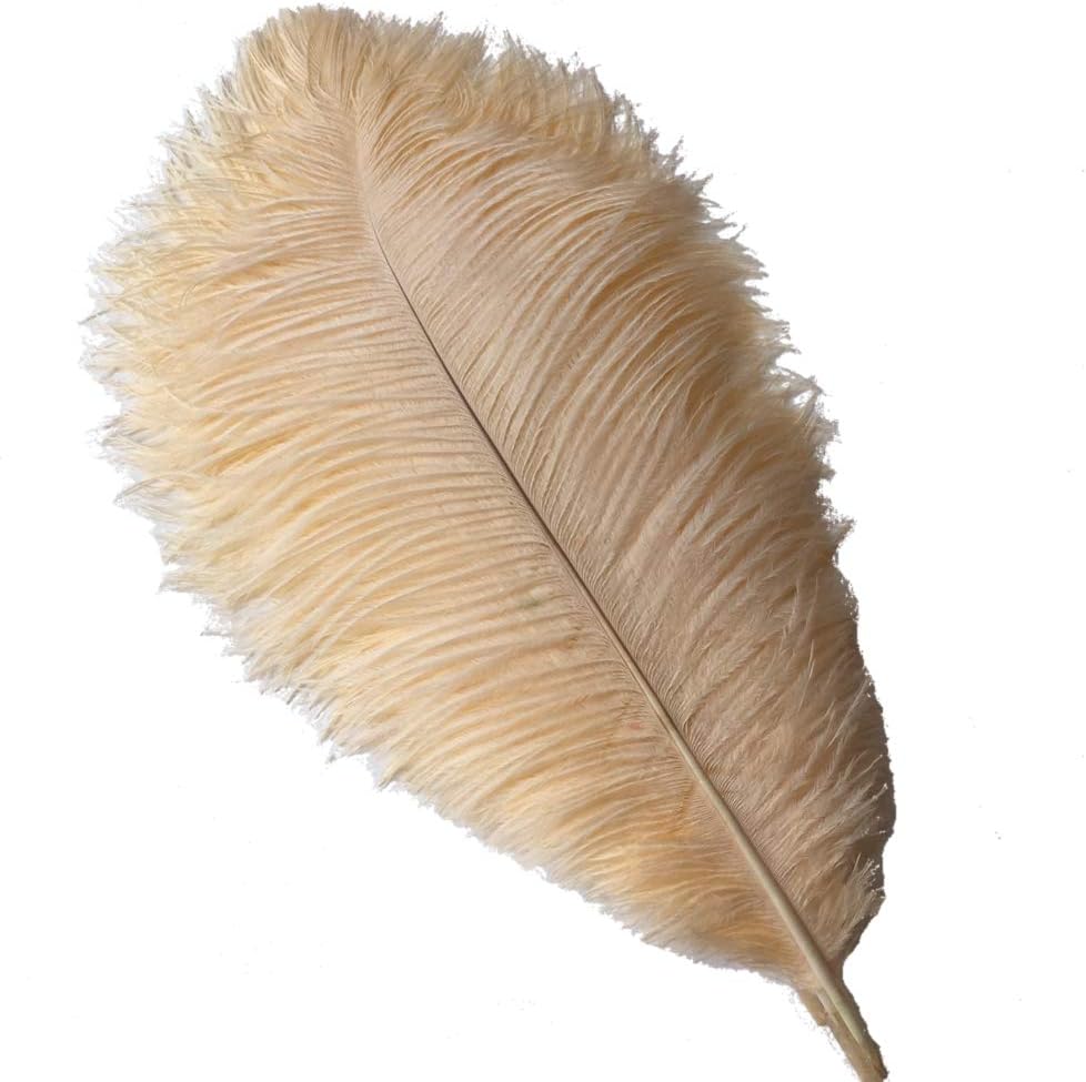 Sowder 10-12inch(25-30cm) Ostrich Feathers Plume for Wedding Centerpieces Home Decoration Pack of 10pcs(Champagne)
