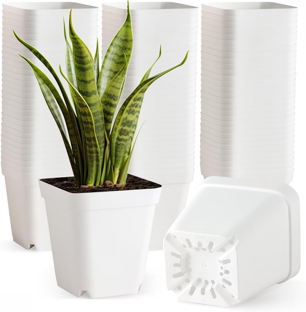 BTPLASTIK 80 Pcs Nursery Pots 4 Inch, Plastic Seed Starting Pot with Drainage Holes, Small Sturdy Seedling pots for Planting, Succulents, Transplanting, Cuttings (White)