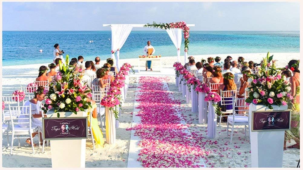 ocharzy 1000 PCS Rose Petals Fake Rose Petals for Romantic Night, Wedding Flower Decoration, Party, Events (Light Purple)