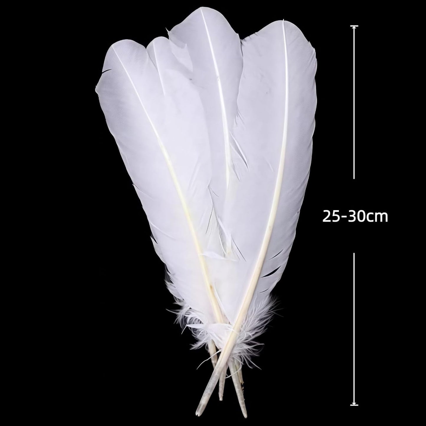 White Turkey Feathers,22 Pcs Natural Feathers Bulk Long 10-12 inch (25-30cm),Turkish Feather for Crafts DIY Wedding Home Party Mardi Gras Decorations (White)
