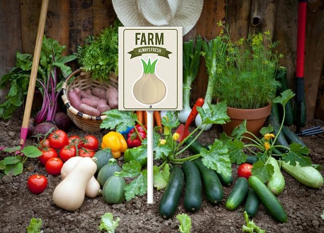 Eveokoki Aluminum Seed & Plant Labels - Plant Markes for Seedlings-Plant Tags for Pots - Garden Signs for Vegetable - Durable Markers for Plants Outdoor Waterproof - Garden Decor for Farmhouse