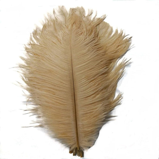 KOLIGHT 40pcs 12''~14''(30~35cm) Natural Ostrich Feathers for DIY Home Wedding Party Office Decoration (Champagne)