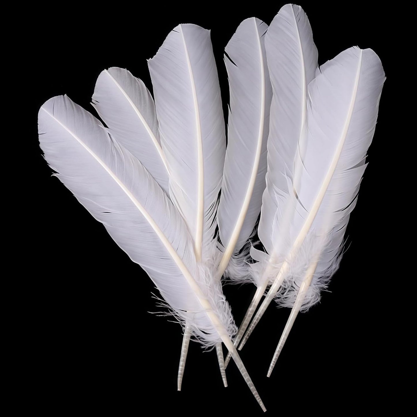 White Turkey Feathers,22 Pcs Natural Feathers Bulk Long 10-12 inch (25-30cm),Turkish Feather for Crafts DIY Wedding Home Party Mardi Gras Decorations (White)