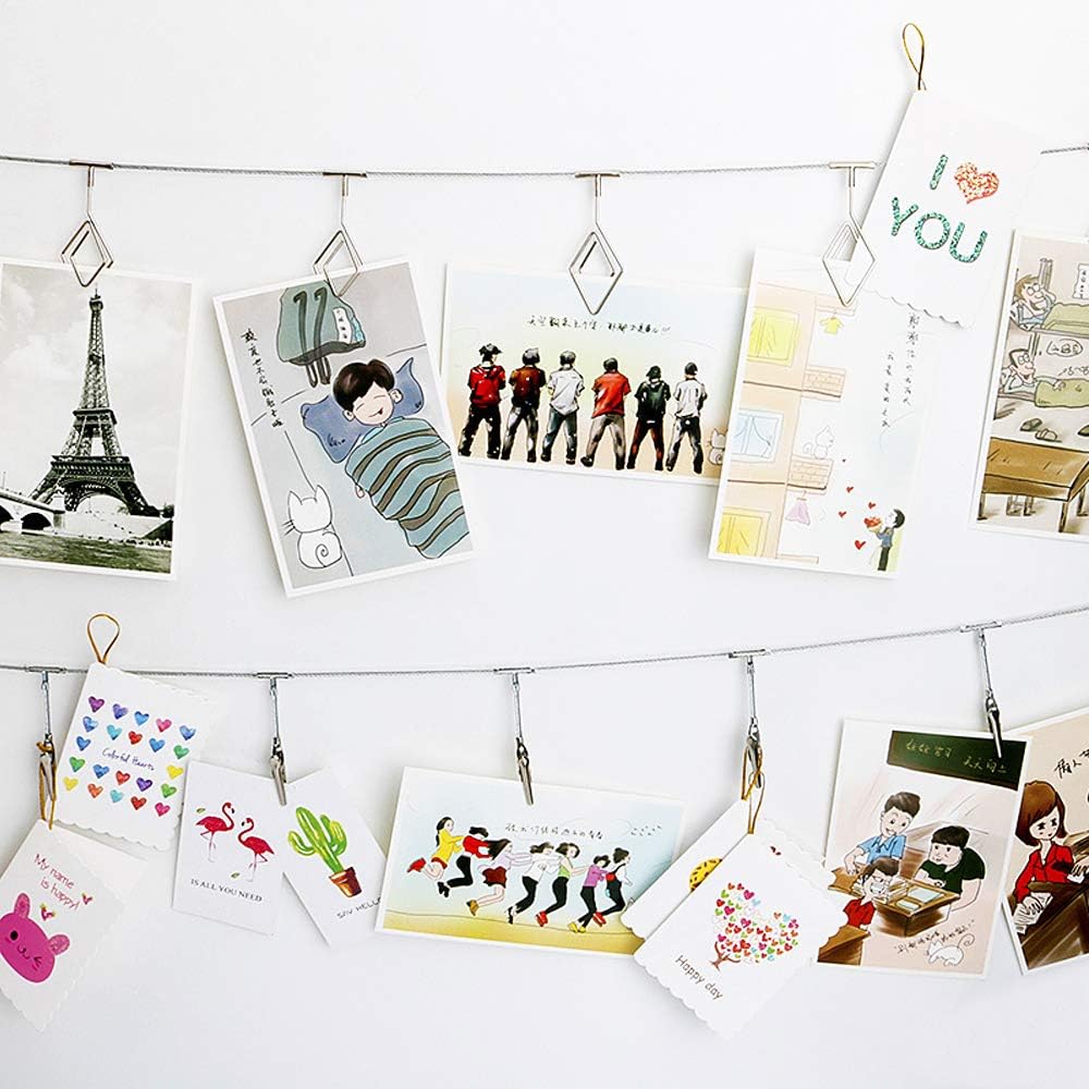 Multi-Purpose Steel Wall Hanging Photo Display Cable Wire Rod String with 12 Clips for Hanging Photos Notes and Artworks (Alligator clip)