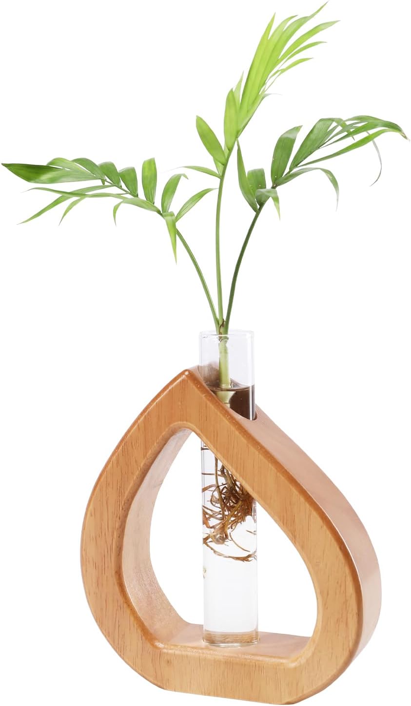Propagation Stations Planter Terrariums Wall Hanging Test Tube Desk Decorations with Wooden Stand Plant Terrarium Office Decor Gifts for Plant Lover Gifts