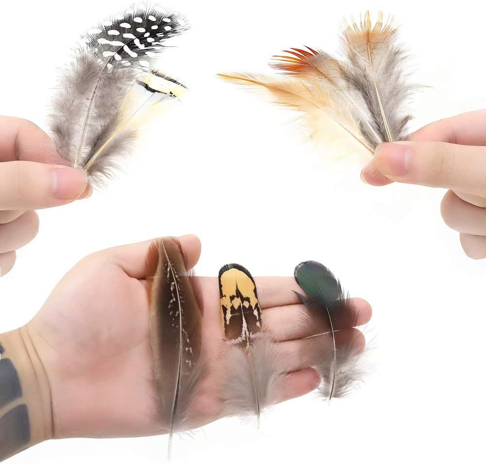 360pcs 12 Styled Natural Feathers Assorted Mixed Feathers for Jewelry and Dream Catcher Crafts