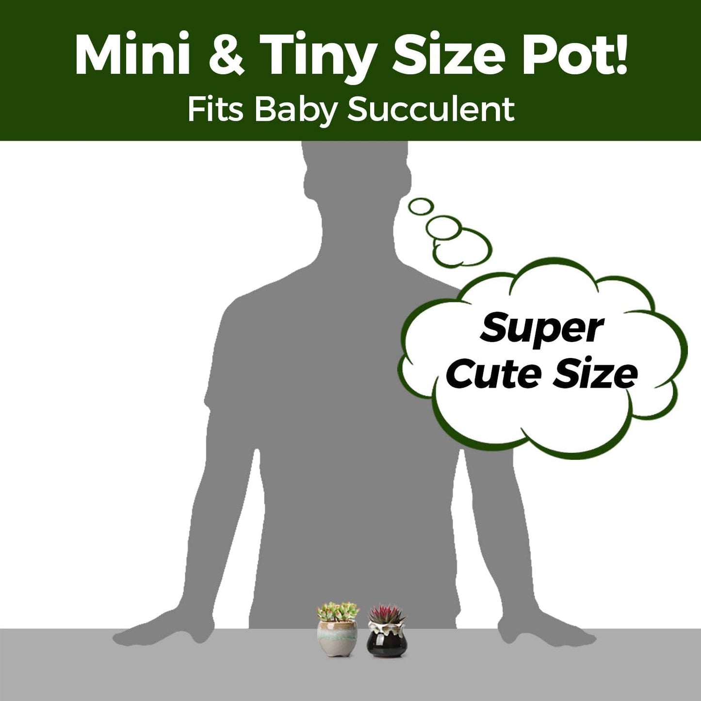 T4U Mini Ceramic Succulent Pots with Drainage - Set of 6, Tiny Pots for Plants, Home and Office Decor, Plant Lover Gifts for Women