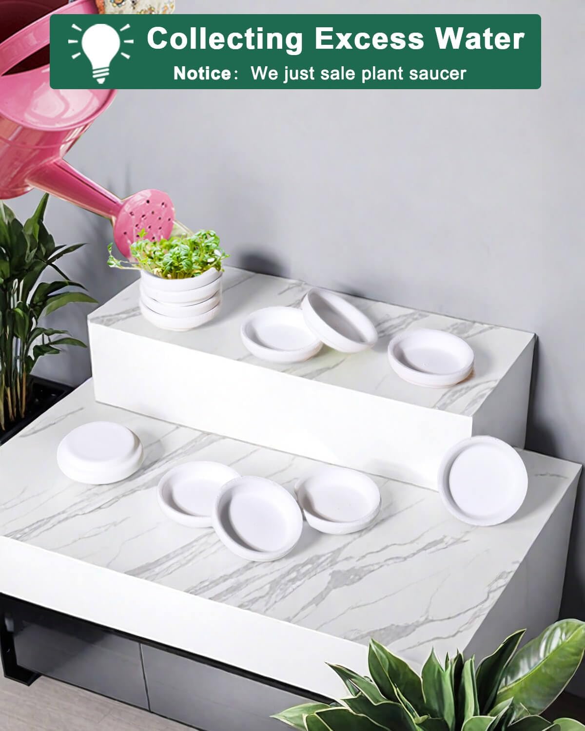 vensovo 2 Inch White Terracotta Plant Saucer Pots Tray - 12 pcs Mini Planter Saucers for Indoor & Outdoor Plants, Small Clay Trays Perfect for 1 Inch 1.5Inch Flower Pot
