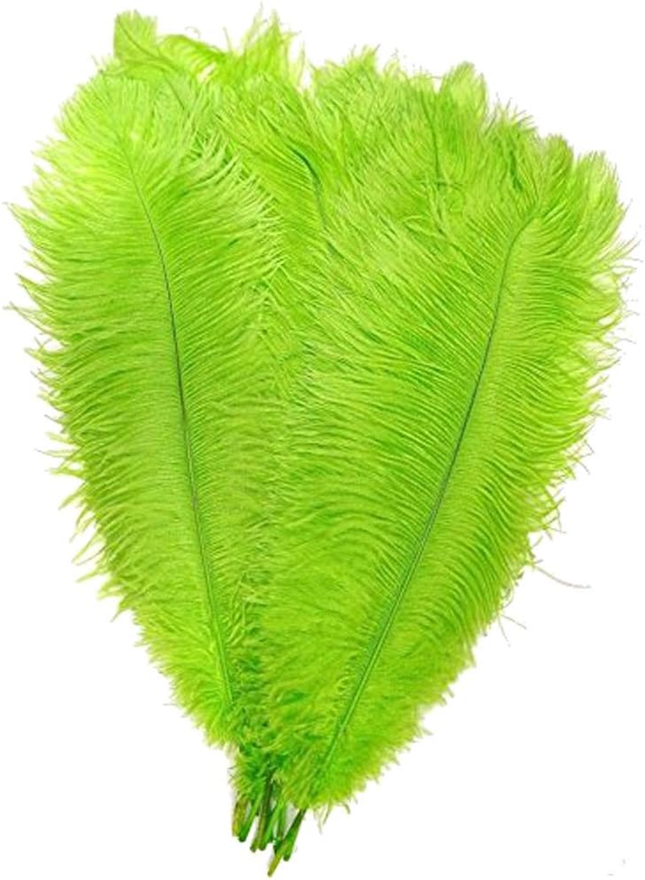 KOLIGHT 40pcs 12''~14''(30~35cm) Natural Ostrich Feathers for DIY Home Wedding Party Office Decoration (Lime)
