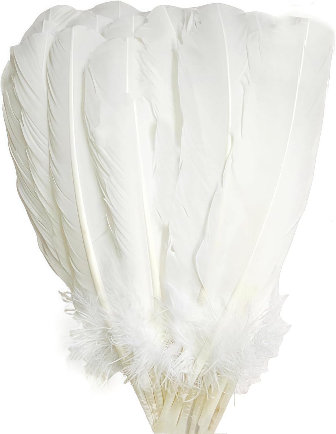 White Turkey Feathers,22 Pcs Natural Feathers Bulk Long 10-12 inch (25-30cm),Turkish Feather for Crafts DIY Wedding Home Party Mardi Gras Decorations (White)