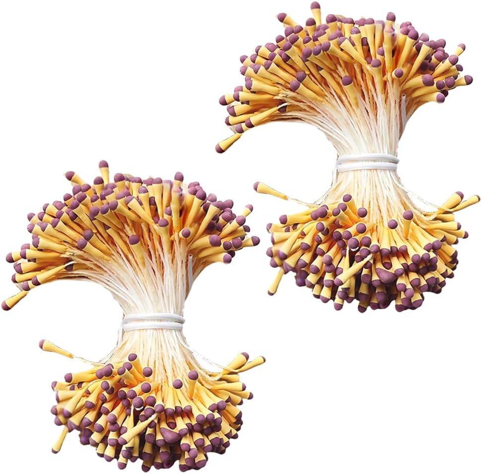 HAHIYO 700Pcs 2mm Yellow and Purple Matte Double Head Flower Stamen Pistil for Flower Making Scrapbook Decoration Handmade Artificial Flowers Pistil Matt-Like Floral Stamens Flowers Pollen Stamen