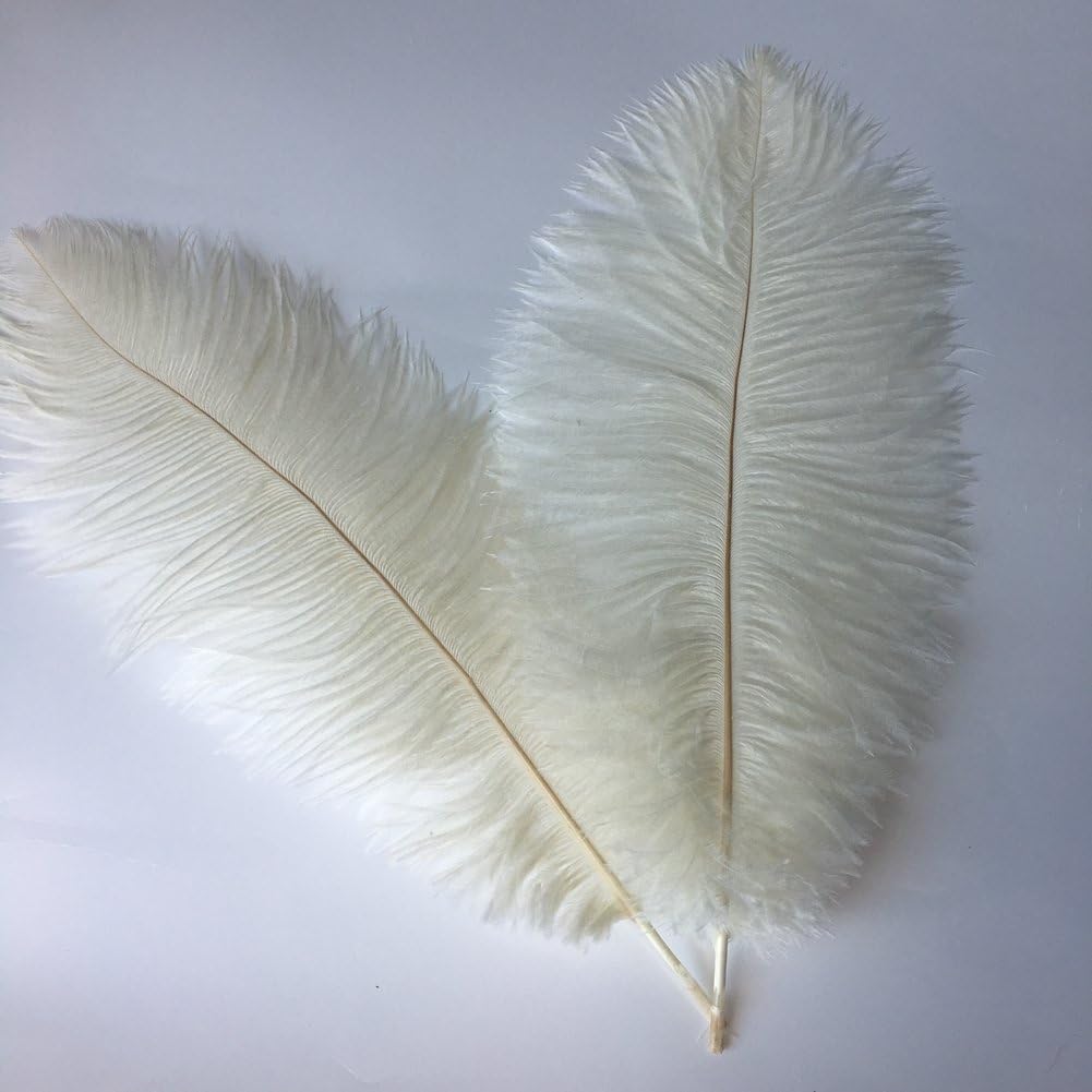 Sowder 14-16inch(35-40cm) Ostrich Feathers Plume for Wedding Centerpieces Home Decoration Pack of 10pcs(Ivory)