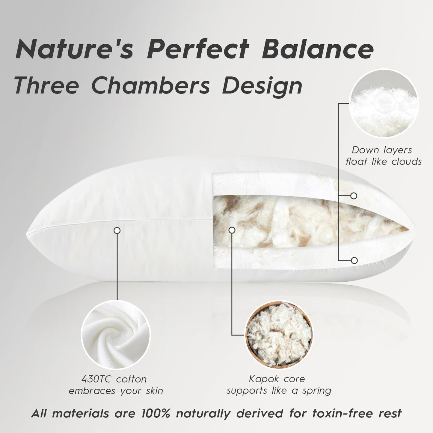 Globon Luxury Down Pillow Queen Size, Firm Hotel Collection Bed Pillow with 100% Cotton Cover, Down Surrounded Feather Pillow, 20x30 Inches (1 Pack)