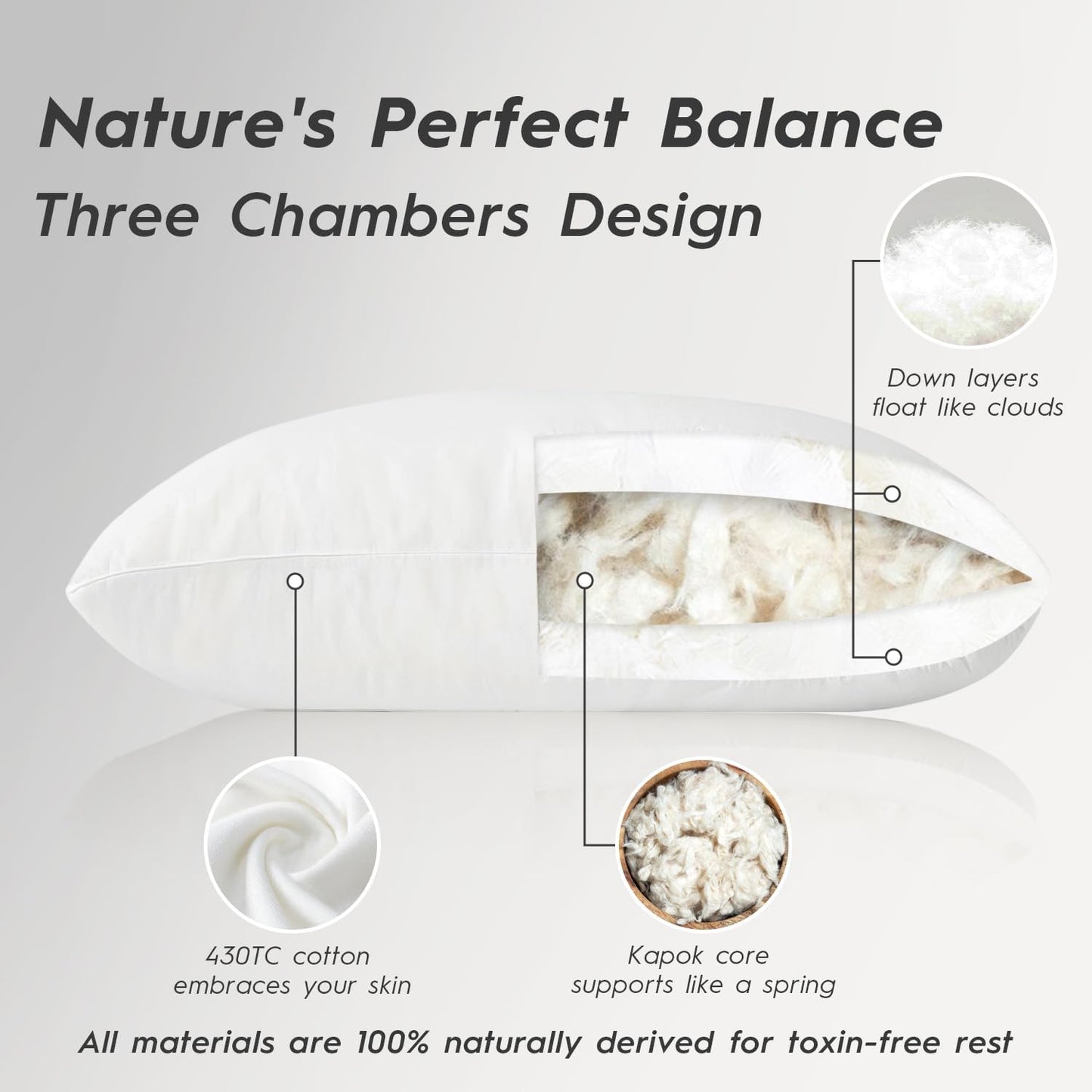 Globon Luxury Down Pillow King Size, Firm Hotel Collection Bed Pillow with 100% Cotton Cover, Down Surrounded Feather Pillow, 20x36 Inches (1 Pack)