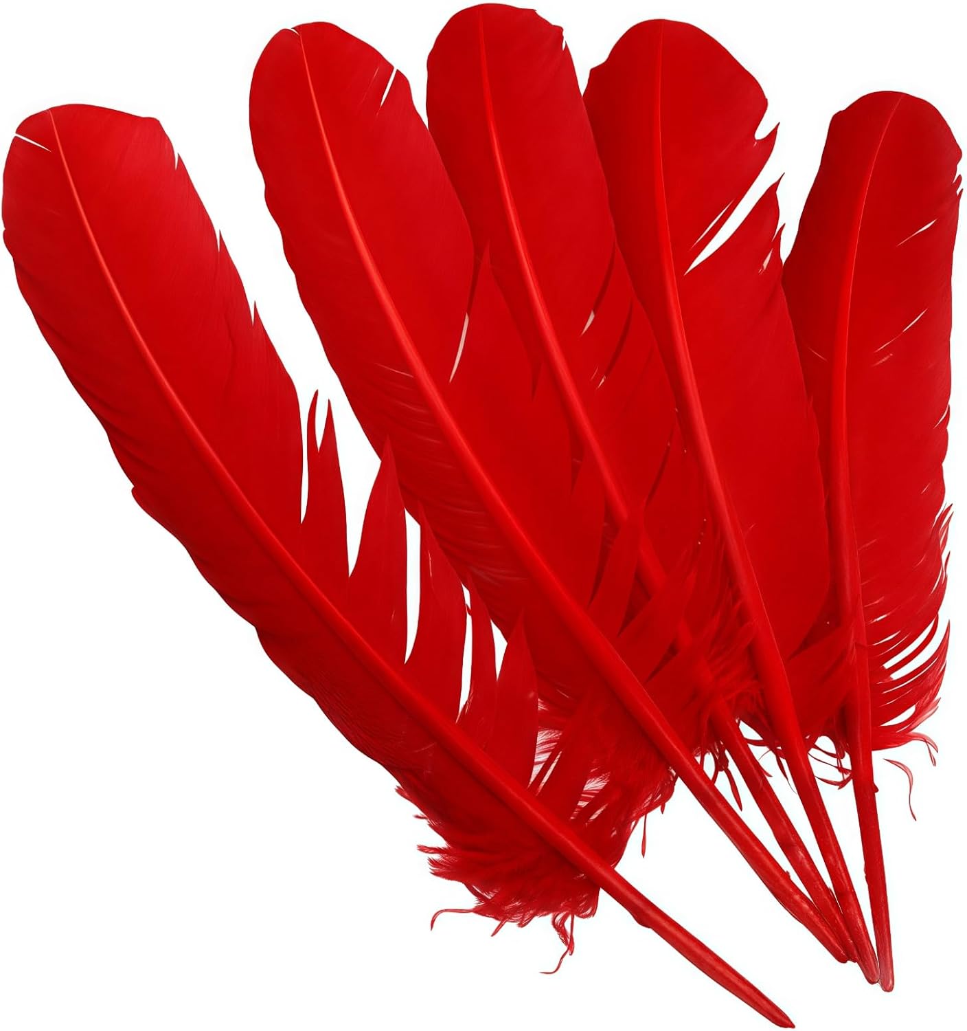 Red Turkey Feathers,22 Pcs Natural Feathers Bulk Long 10-12 inch (25-30cm),Turkish Feather for Crafts DIY Wedding Home Party Mardi Gras Decorations (Red)