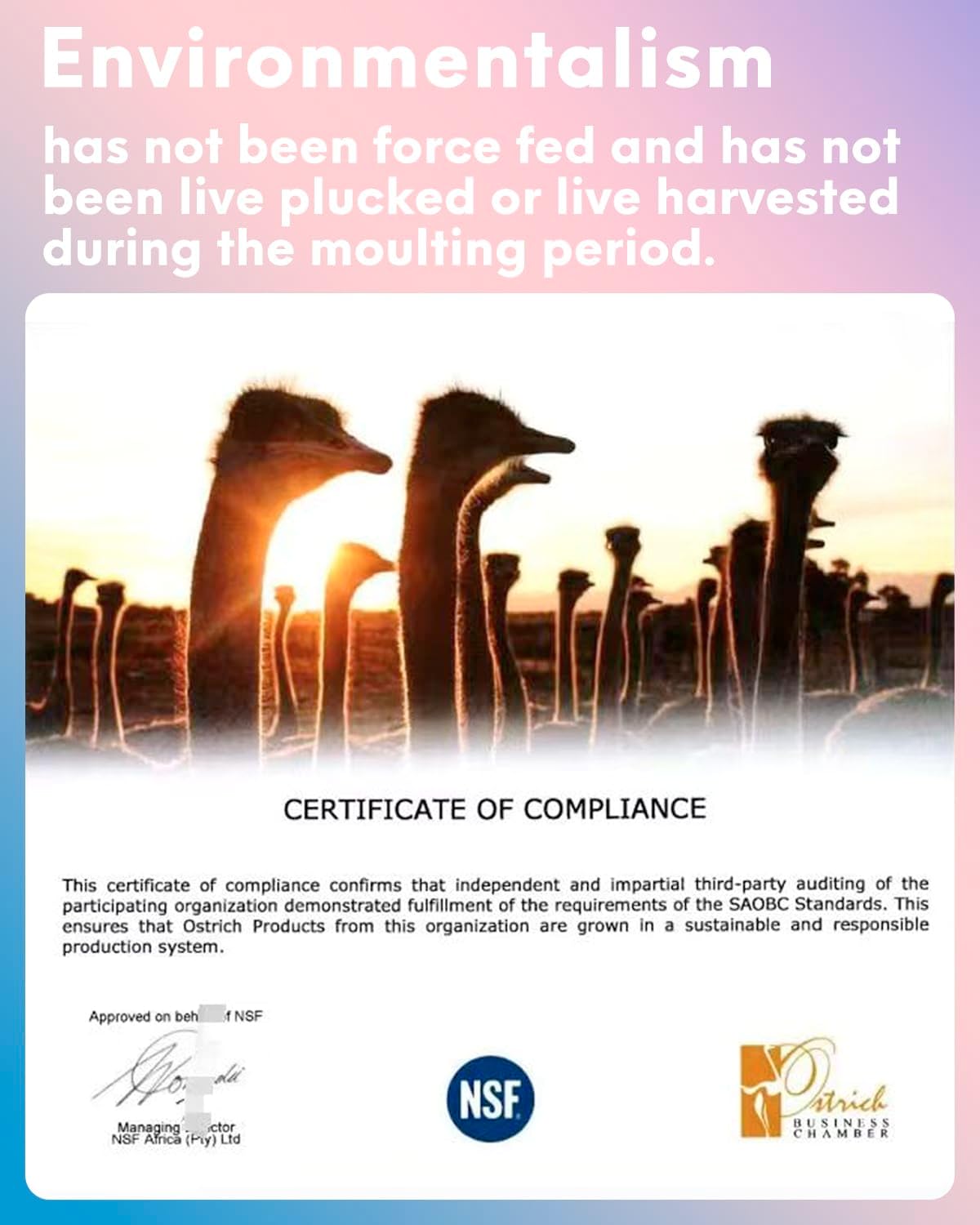 NEWONG 30pcs Royal Blue Ostrich Feathers Natural Bulk 8-10in（20-25cm） Vase Craft Wedding Home Party Centerpieces Christmas Day Decoration