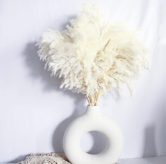 White Pampas Grass for Home Decor - Elegant Boho Decor - Premium Quality Pampas Grass Stems - Perfect for House, Nursery, Western, Wedding, Table, and Bohemian Decor (20PCS)