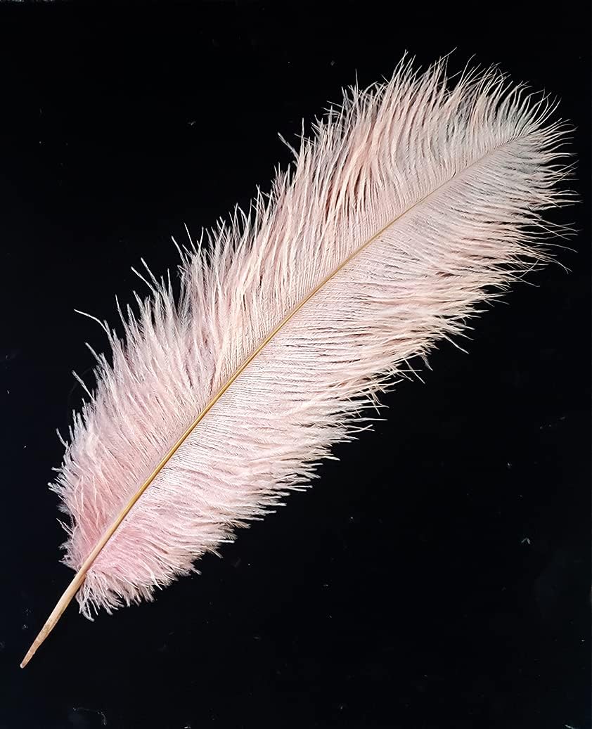 Happy Feather 16-18 inch Pink Ostrich Feathers Cratfs for Wedding Party Centerpieces Home Decoration DIY Craft Pack of 10