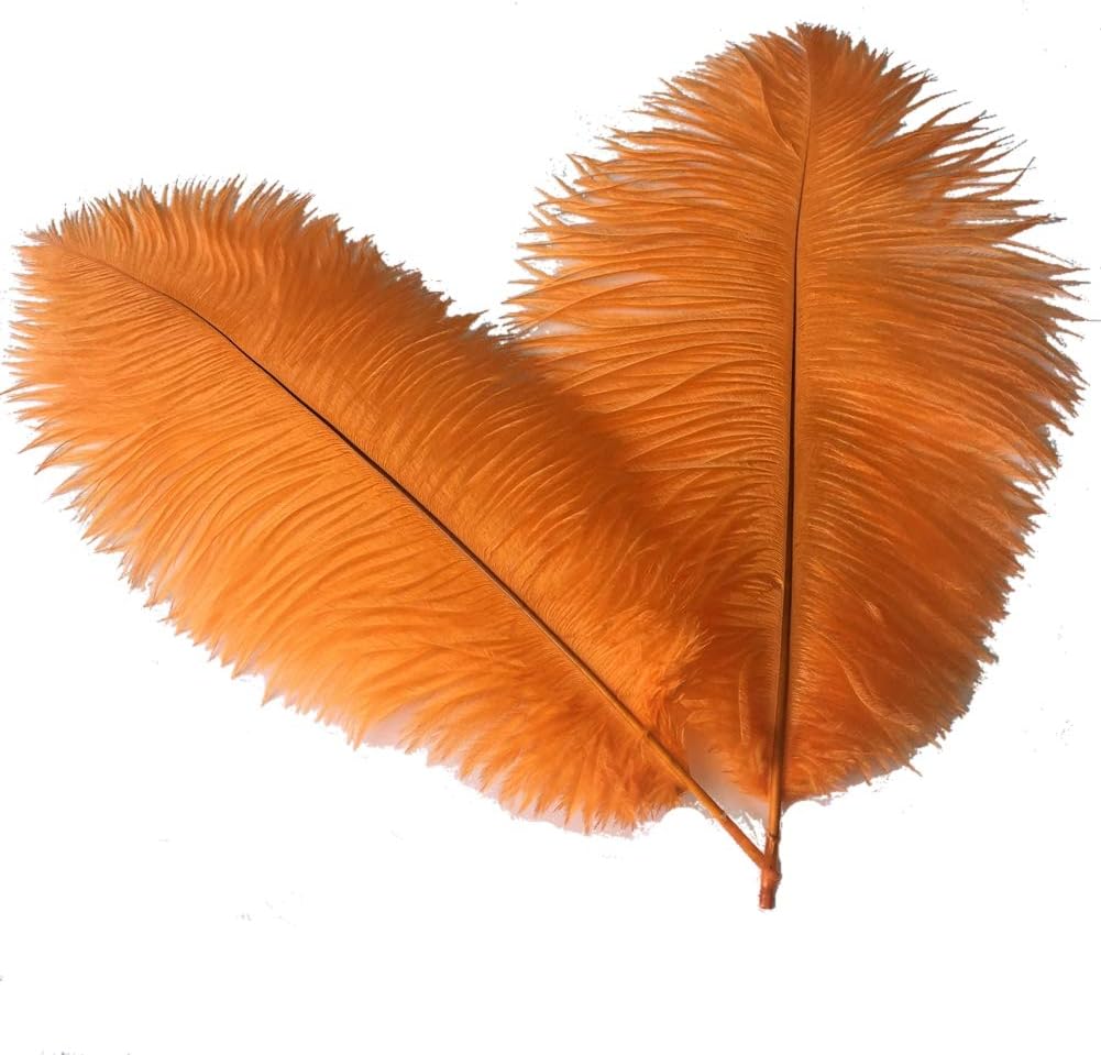 Sowder 10-12inch(25-30cm) Ostrich Feathers Plume for Wedding Centerpieces Home Decoration Pack of 10pcs(Orange)