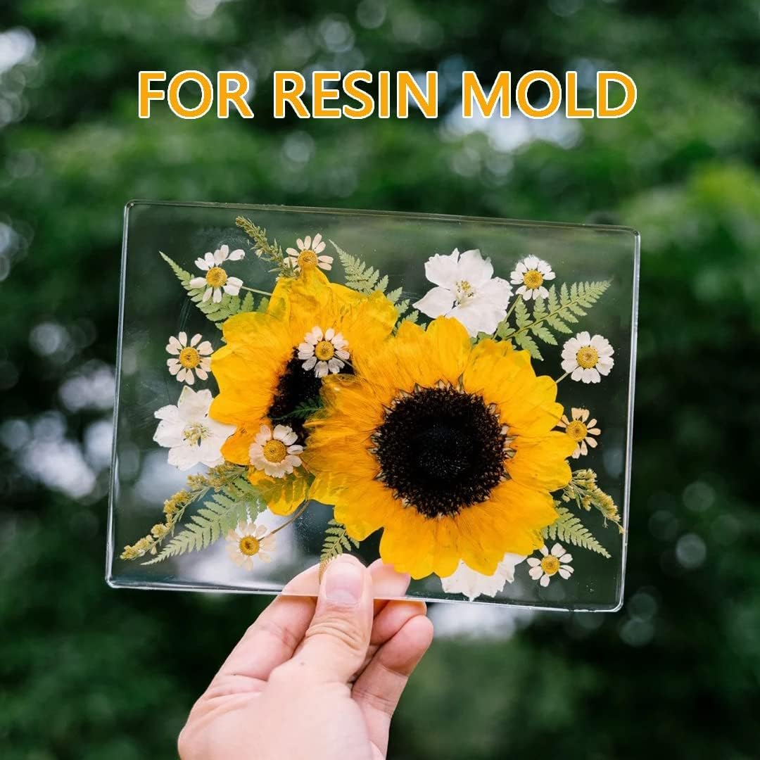 16 Types Boho Dried Pressed Flowers for Craft, Leaf Plant Herbarium for Resin Molds Jewelry Making Floral Decors（Boho Color）