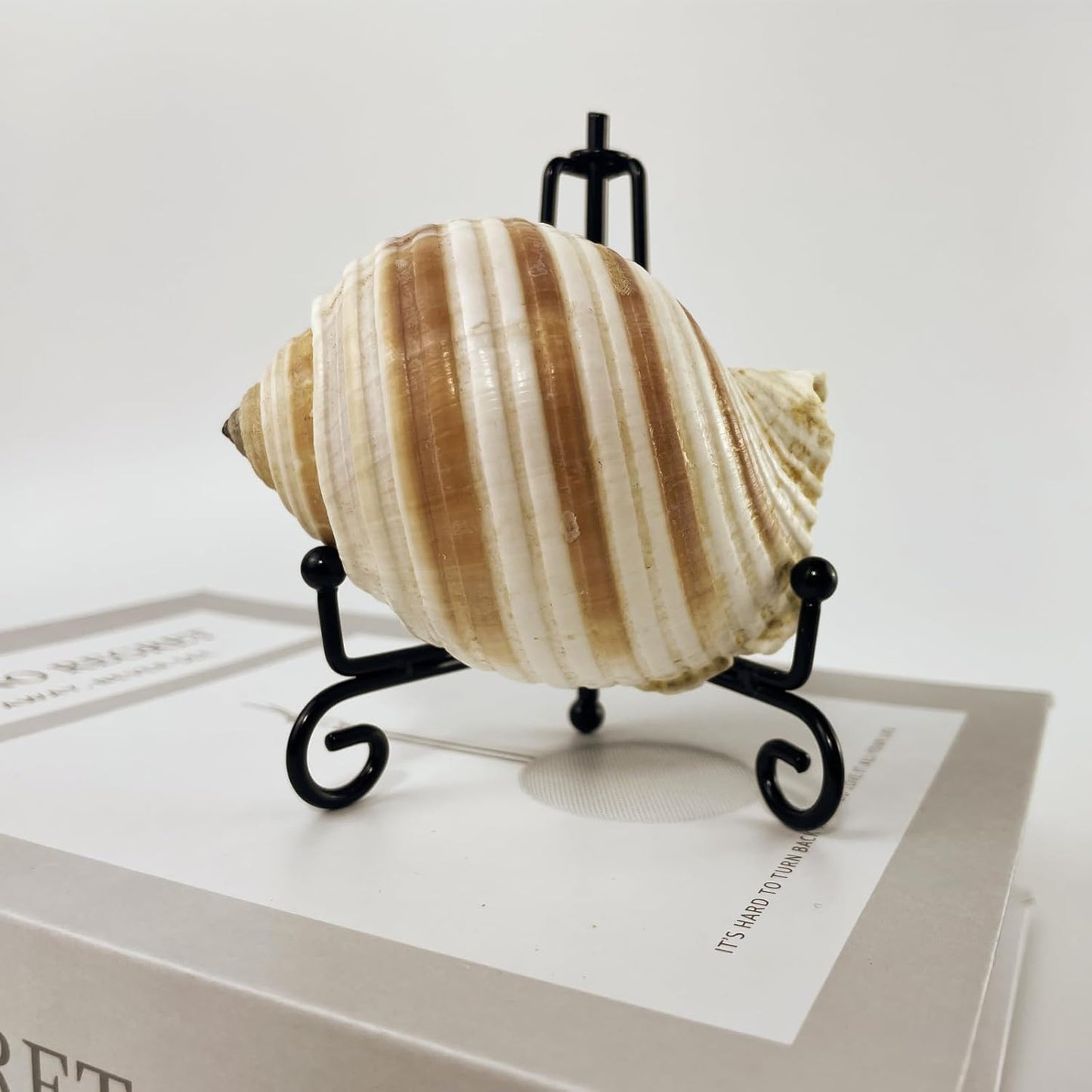 4PCS Premium Black Iron Plate Stands for Display 4 Inch, Decorative Solid Metal Plate Holders for Displaying, Mini Easel, Frame, Book, Card, Plaque, Bowl, Picture Stands for Display