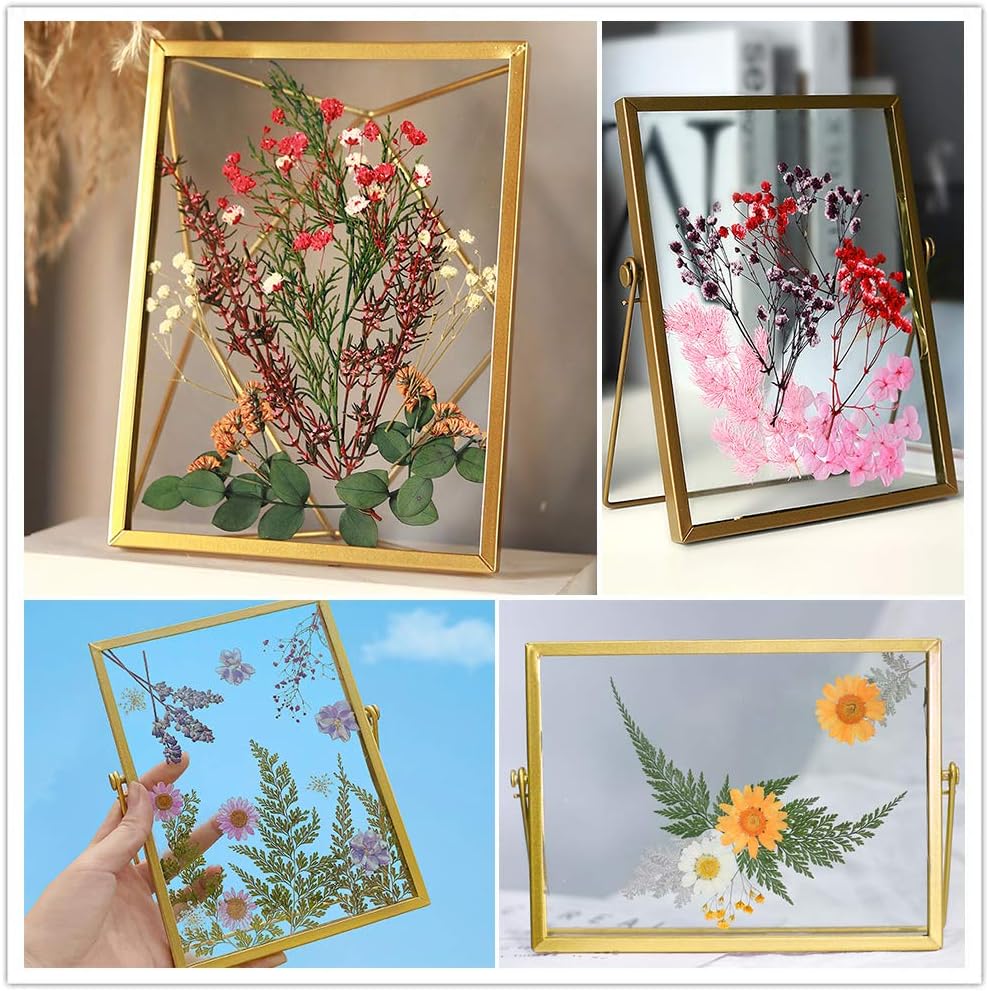 Vignee Real Dried Pressed Leaf Flowers-Multiple Colorful Pressed Flowers Daisies for Craft Resin Jewelry Making Art Craft DIY（Violet&Light Pink）