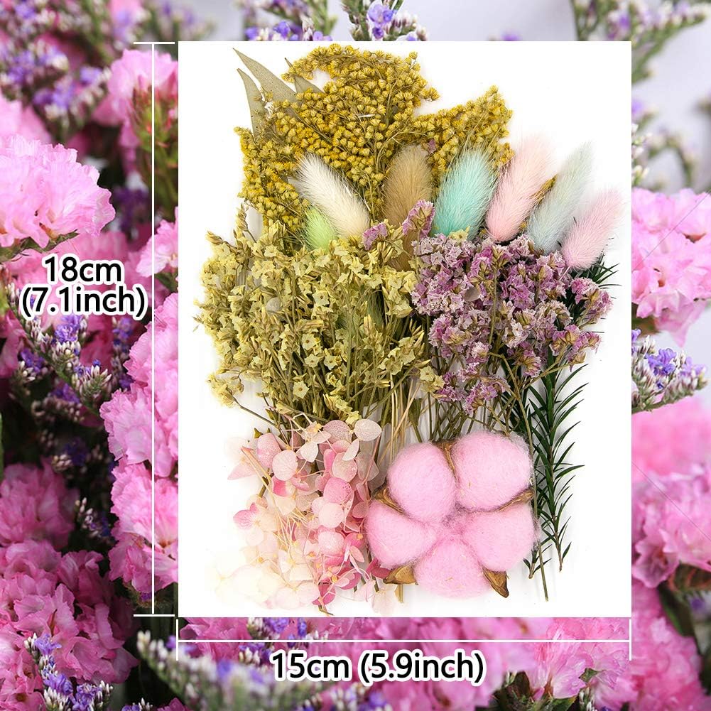 Vignee Real Dried Pressed Leaf Flowers-Multiple Colorful Pressed Flowers Daisies for Craft Resin Jewelry Making Art Craft DIY and Soap Candle Scrapbooking DIY Resin（Pink）