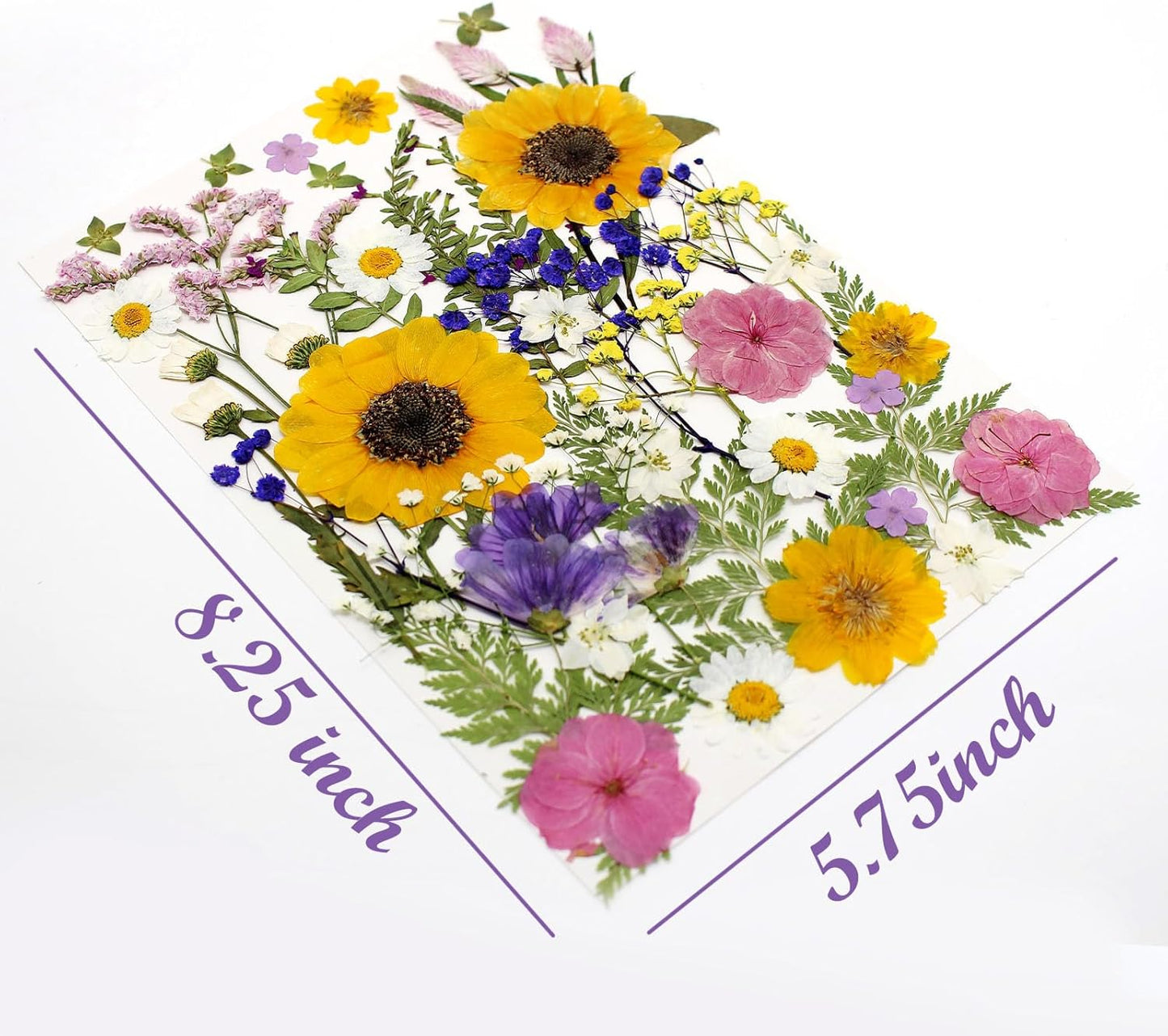 16 Types Boho Dried Pressed Flowers for Craft, Leaf Plant Herbarium for Resin Molds Jewelry Making Floral Decors（Boho Color）