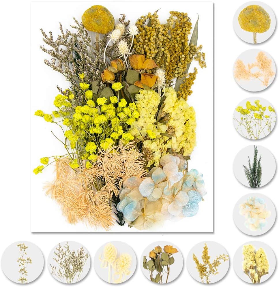 Vignee Real Dried Pressed Leaf Flowers-Multiple Colorful Pressed Flowers Daisies for Craft Resin Jewelry Making Art Craft DIY and Soap Candle Scrapbooking DIY Resin（Yellow）