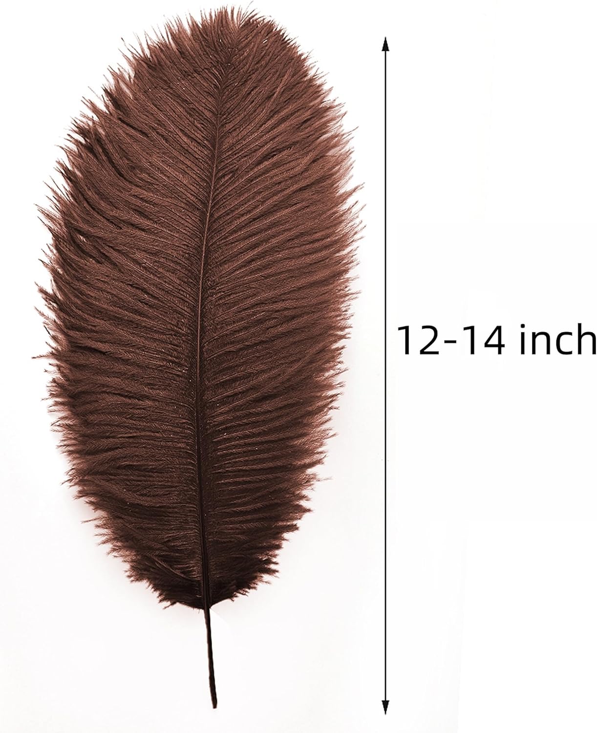 Ballinger Brown Big Ostrich Feathers - 24pcs 12-14inch Large Feathers for Party Centerpieces, Flower Arrangement and Home Decor